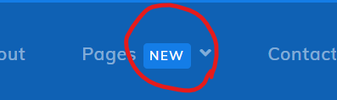 1748495760329.png
