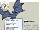 thebat_Voyager.JPG