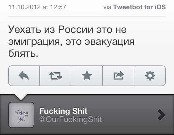 -dlzf2gJnt8.jpg
